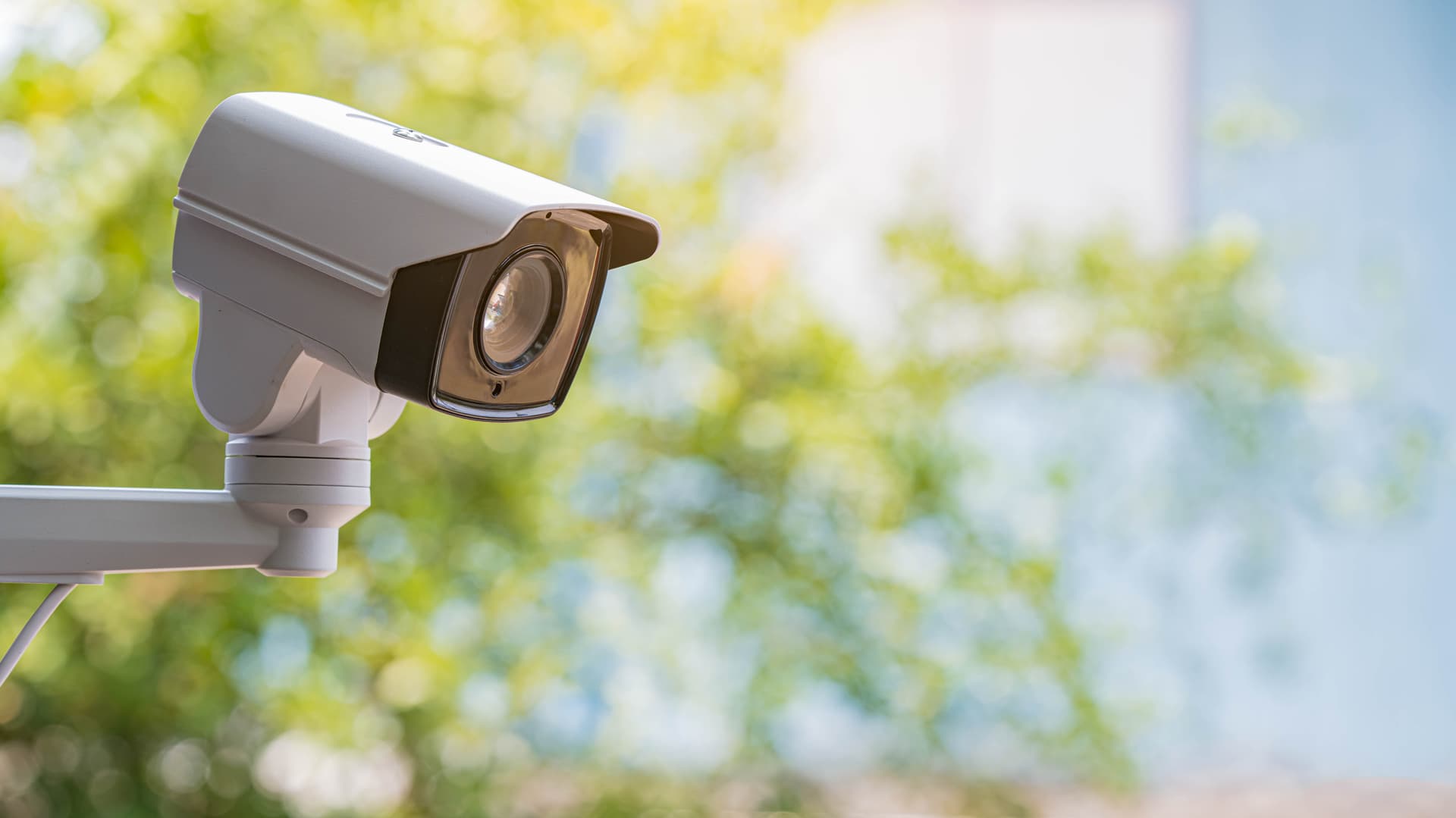 Security Specialist Services